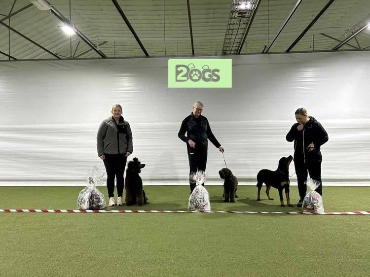 🐾 Choupi som stolt sponsor i hundekonkurranse i Hokksund