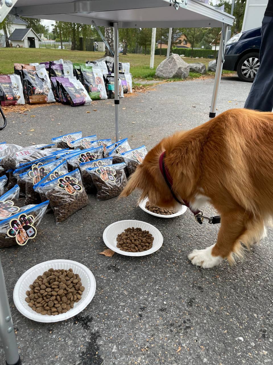 Choupi Extra Premium i Hokksund